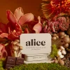 Alice Mushroom Chocolate UK